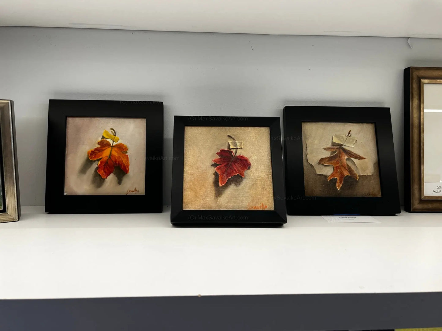 Trompe L'oeil Painting Still Life Maple Leaf 1 MaxSavaikoArt.com