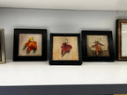 Trompe L'oeil Painting Still Life Maple Leaf 2     Max Savaiko Art