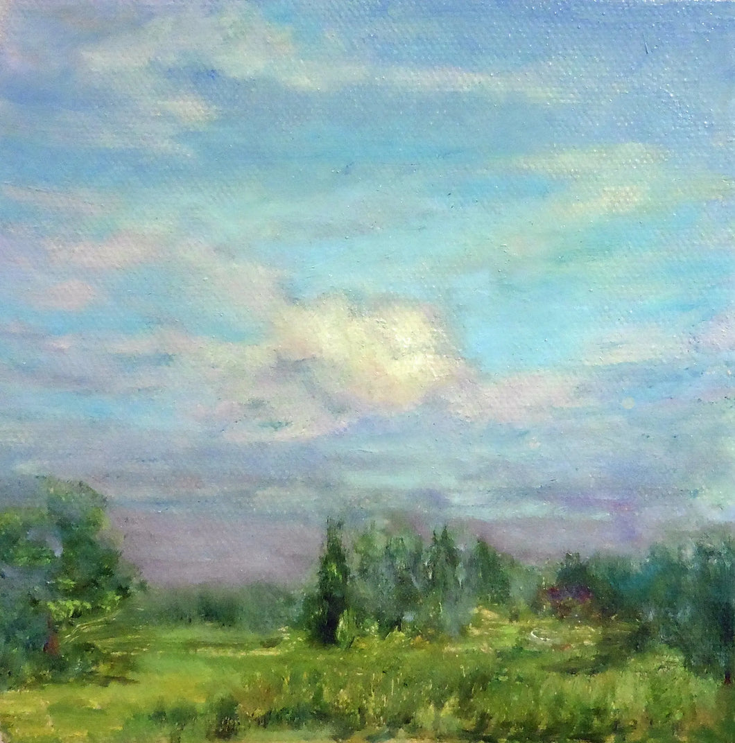 Original Oil Painting - Longwood Summer Sky